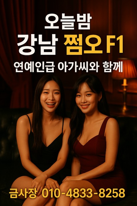 강남룸 어디가 좋은가요 강남룸 어디가 좋은가요