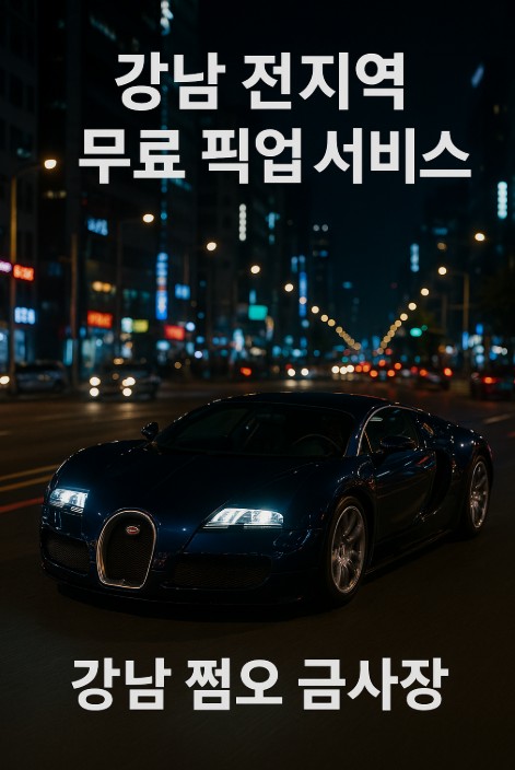강남룸 아가씨 사이즈 강남룸 아가씨 사이즈